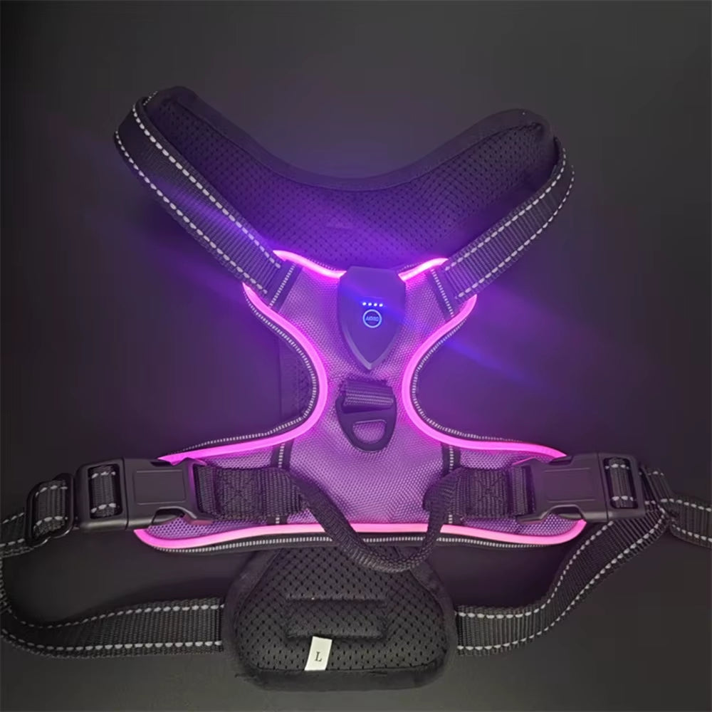 Light up LED Dog Harness Rechargeable Adjustable Luminous Pet Chest Strap Padded Collar Soft Dog Glow Vest for Night Walking