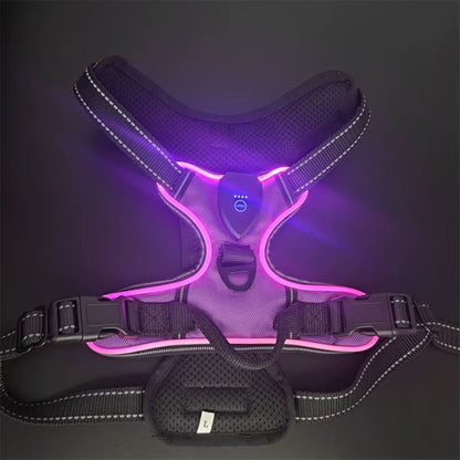 Light up LED Dog Harness Rechargeable Adjustable Luminous Pet Chest Strap Padded Collar Soft Dog Glow Vest for Night Walking