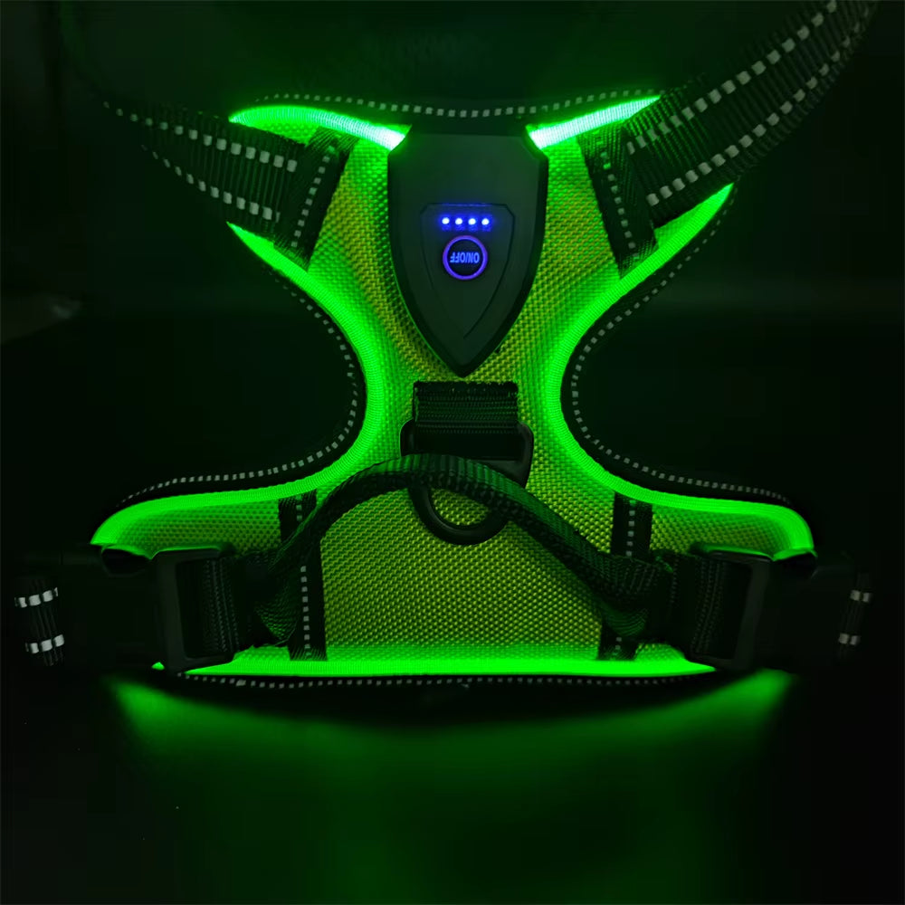 Light up LED Dog Harness Rechargeable Adjustable Luminous Pet Chest Strap Padded Collar Soft Dog Glow Vest for Night Walking