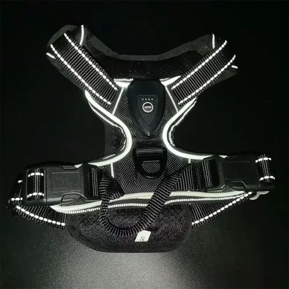 Light up LED Dog Harness Rechargeable Adjustable Luminous Pet Chest Strap Padded Collar Soft Dog Glow Vest for Night Walking