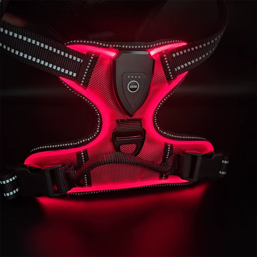 Light up LED Dog Harness Rechargeable Adjustable Luminous Pet Chest Strap Padded Collar Soft Dog Glow Vest for Night Walking