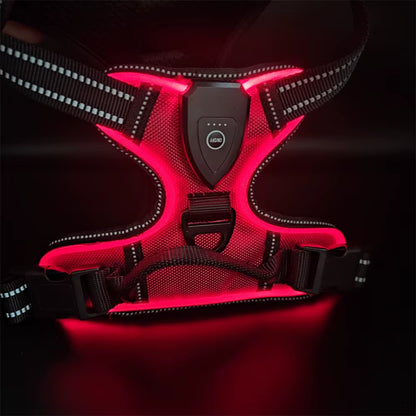 Light up LED Dog Harness Rechargeable Adjustable Luminous Pet Chest Strap Padded Collar Soft Dog Glow Vest for Night Walking