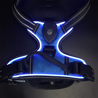 Light up LED Dog Harness Rechargeable Adjustable Luminous Pet Chest Strap Padded Collar Soft Dog Glow Vest for Night Walking