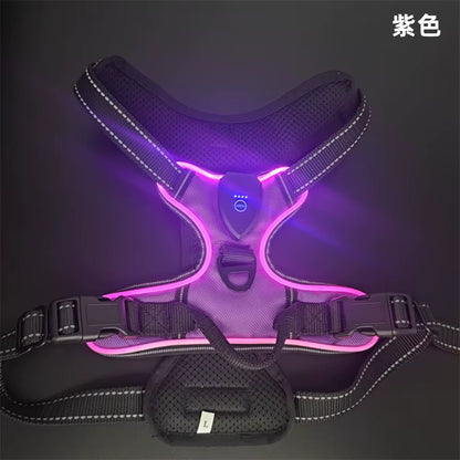 Light up LED Dog Harness Rechargeable Adjustable Luminous Pet Chest Strap Padded Collar Soft Dog Glow Vest for Night Walking