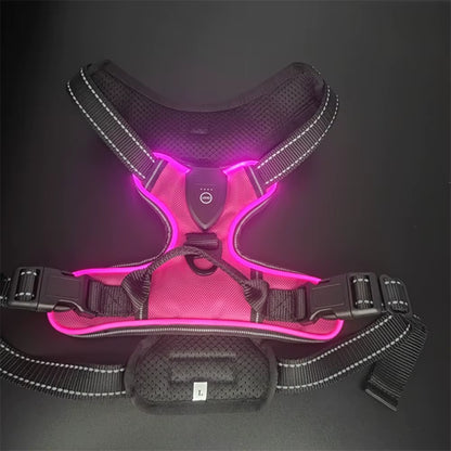 Light up LED Dog Harness Rechargeable Adjustable Luminous Pet Chest Strap Padded Collar Soft Dog Glow Vest for Night Walking