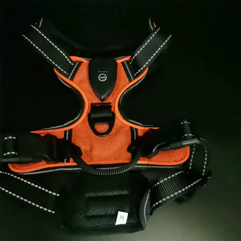 Light up LED Dog Harness Rechargeable Adjustable Luminous Pet Chest Strap Padded Collar Soft Dog Glow Vest for Night Walking