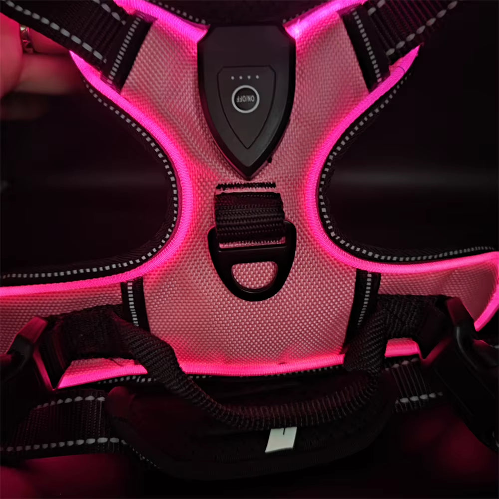 Light up LED Dog Harness Rechargeable Adjustable Luminous Pet Chest Strap Padded Collar Soft Dog Glow Vest for Night Walking